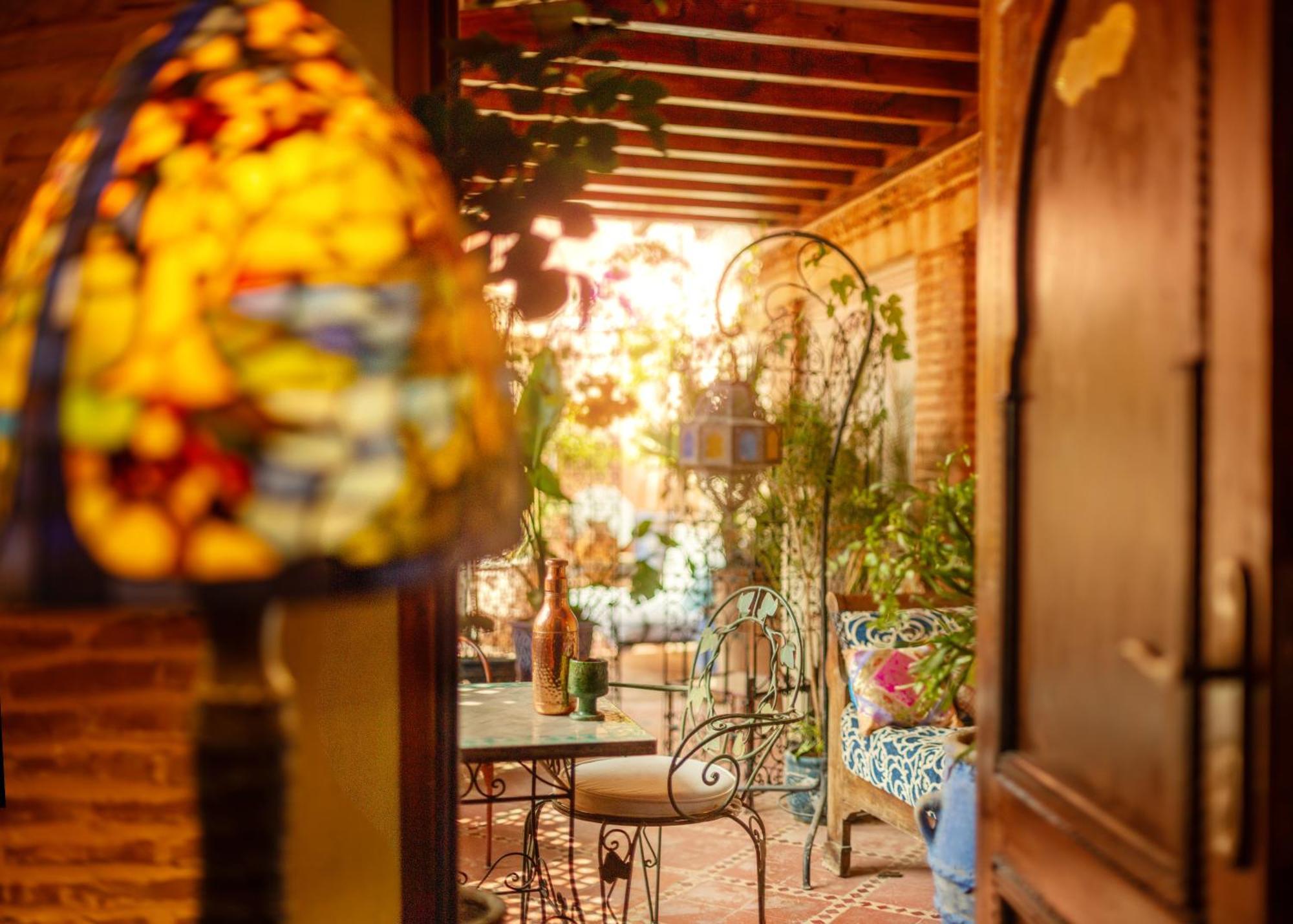 Suite Terrace